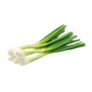 SPRING ONION 1 BUNCH