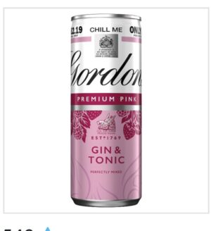 Gordon's Pink Gin & Tonic 250ml