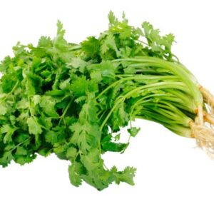 Coriander 100g Pack – Fresh & Aromatic – Goldenacre Minimarket Edinburgh