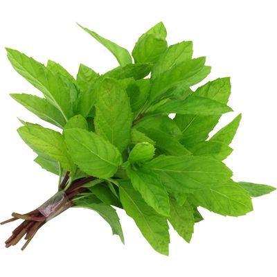 Fresh Mint 1 Pack available online at Goldenacre Minimarket Edinburgh