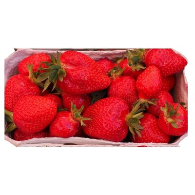 Scottish Strawberries Box available online at Goldenacre Minimarket Edinburgh