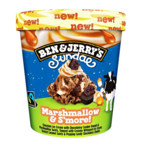 BEN & JERRYS MARSHMALLOW SMORE SUNDAE 427ml