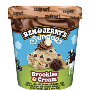 BEN & JERRYS SUNDAE BROOKIES & CREAM 427ml