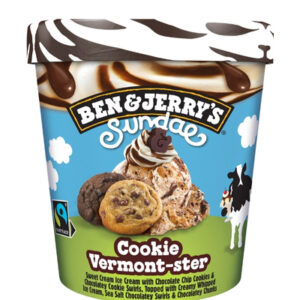 BEN & JERRYS SUNDAE VERMONSTER COOKIES 427ml