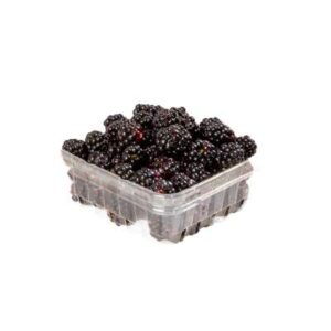 Bramble or blackberry Edinburgh Online 